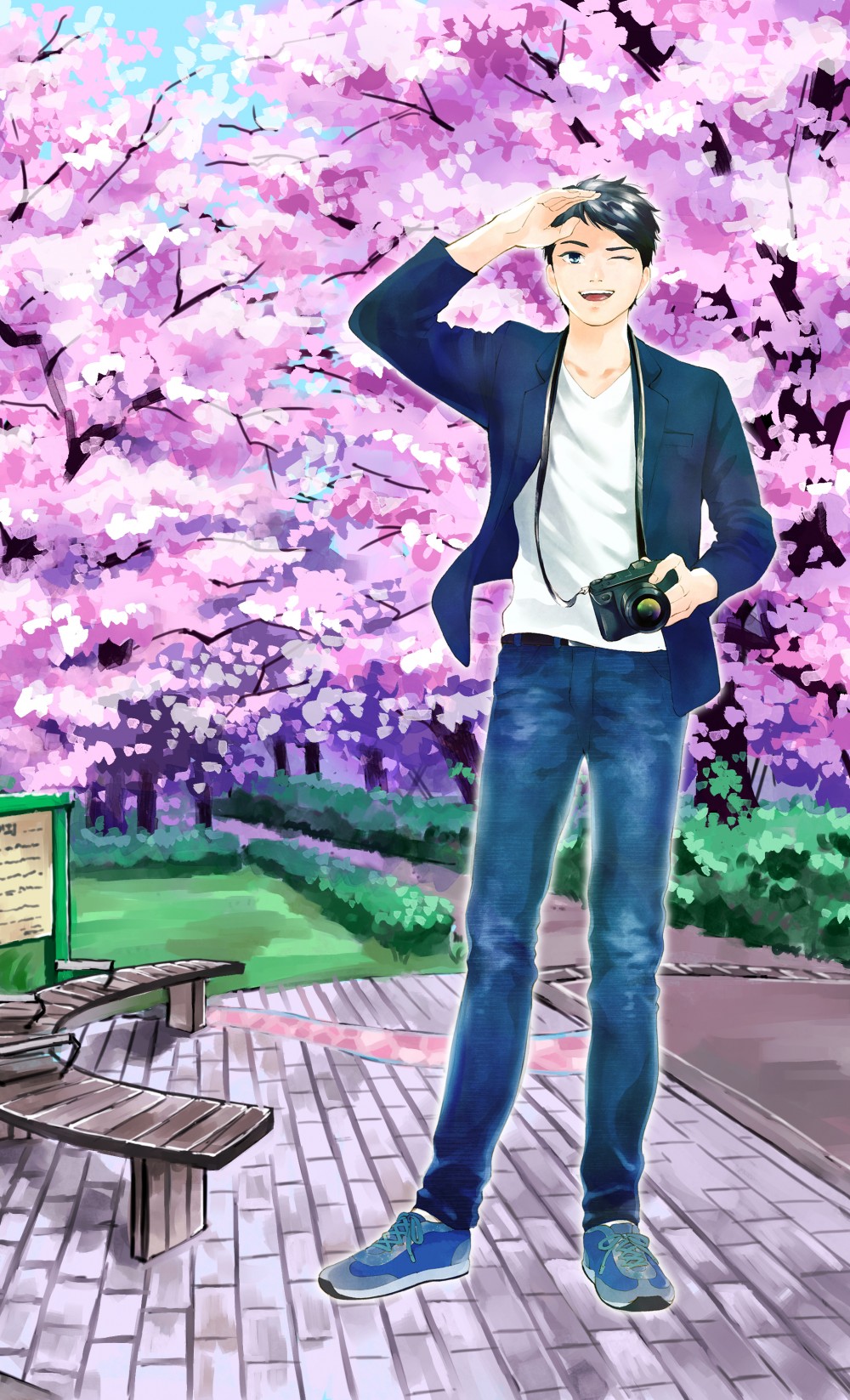 世田谷区パンフレット用イラストになります。祖師谷つりがね池の桜シーズンをイメージ。桜と散歩する男性の組み合わせです。